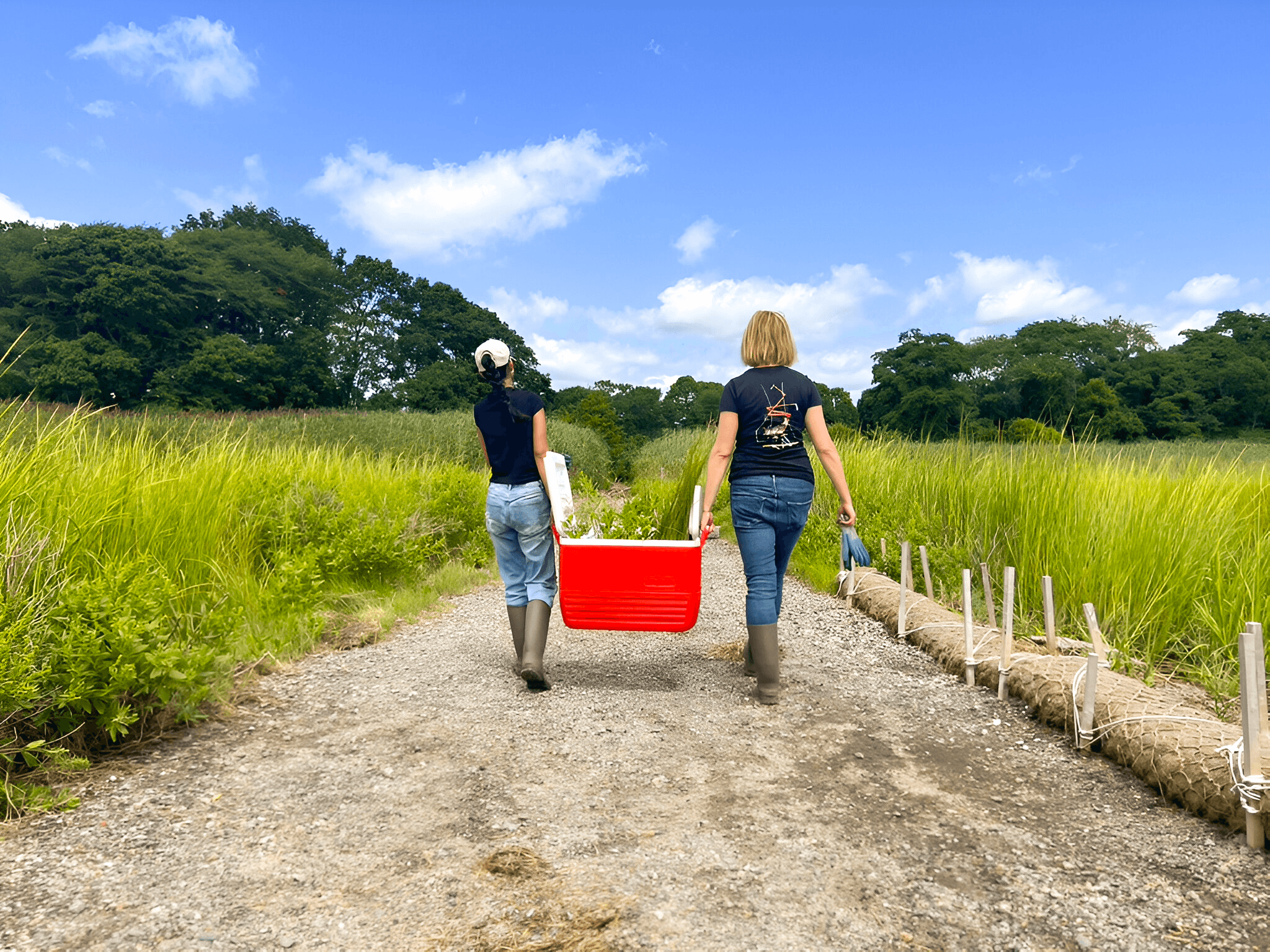 Manini Katia red cooler